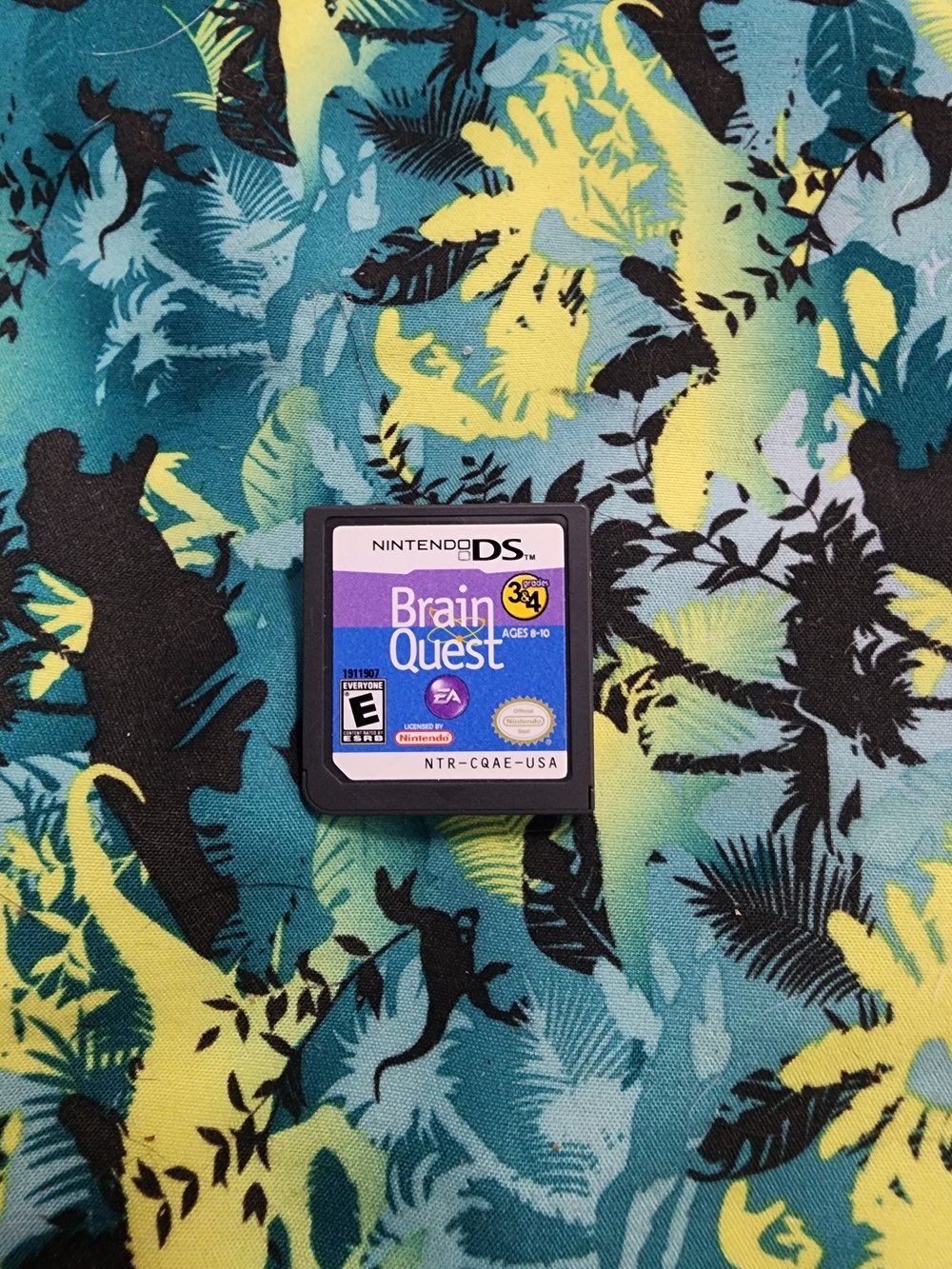 Nintendo DS Brain Quest Cartridge (355)